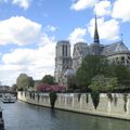 printemps , spring, Notre Dame de PARIS.
