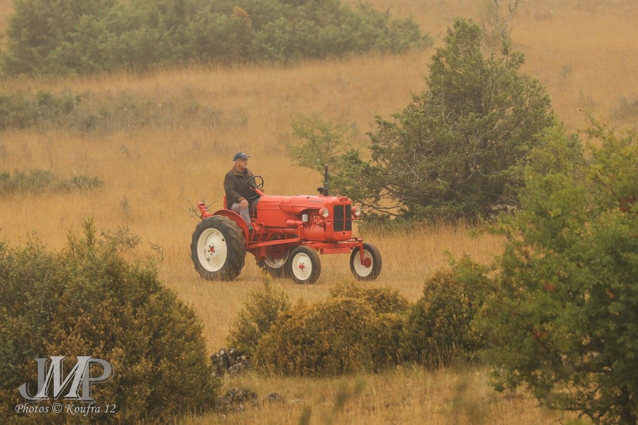 009 - Tracteur Allis Chalmers - D270 - 27 CV -    - années 1954 / 1957