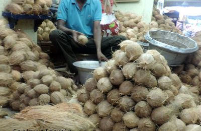 Voilà les noix de coco de mon précédent post! Un