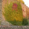 Un  mur d'automne