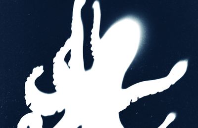 Concours Les Mains vides: 4 polars de Valério Varesi à gagner