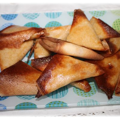 Samoussas rillettes de poulet