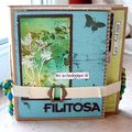 mini album Filitosa