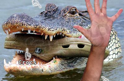 Crocodile, Crocs & Odile