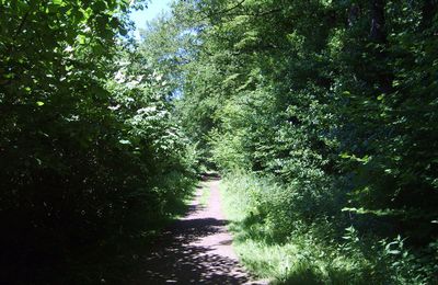 petite balade dans la campagne 