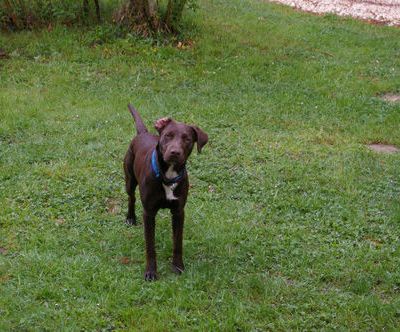 Maly, le jeune mâle, âgé de 8 mois et demi