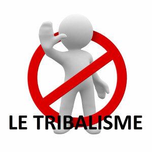 Chapitre VII: COMMENT FAIRE TOMBER UN RÉGIME TRIBALISME ET CORROMPU? 