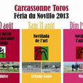 carcassonne 2013 : " le retour !"