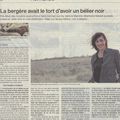 Caricature normande: ils n'aiment pas la bergère horsaine...
