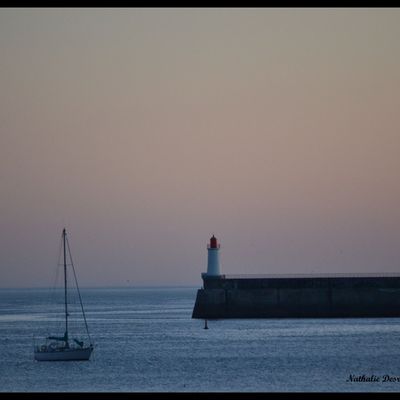 Un peu de douceur...