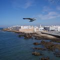 Essaouira (Maroc)