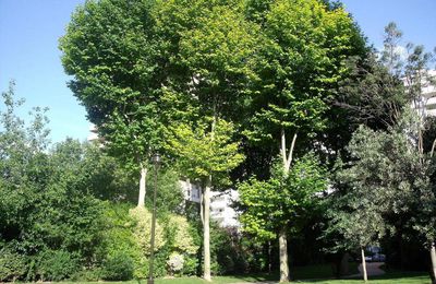 Le parc Youri-Gagarine et sa roseraie 