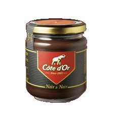 ChocoClo : Côte d'or et moi ..... woooouuuuaaaaaaa