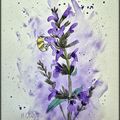 ANNA MARIA CARULINA CELLI....Extrait