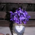 Petit bouquet de violettes...