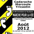 "Marche pour la Vie pour l’arrêt immédiat du nucléaire" qui aura lieu du 18 au 25 août 2012 en France