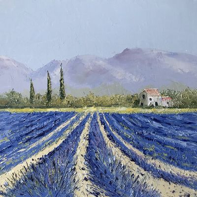 Champ de lavande en Provence