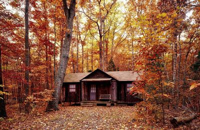 Bienvenue dans la cabane de l'ermite!