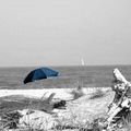 au pied !... du parapluie...