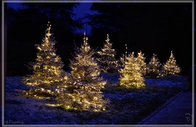 Que représente la fête du Nouvel An ?
