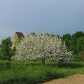 Visite 3 : L'église médiévale de la Burnkirch, ses fresques et l'histoire des possédés d'Illfurth