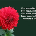 C'est impossible...