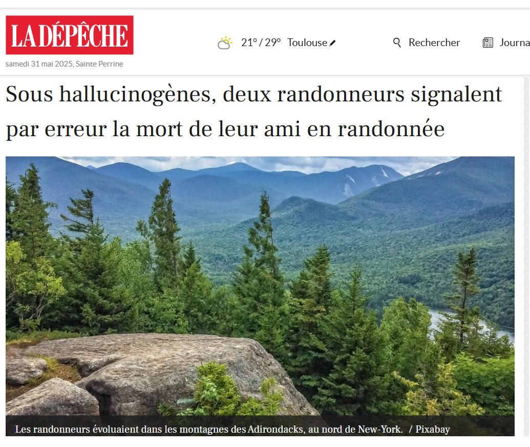 Randonnée et champignons