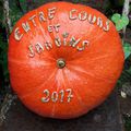 Entre Cours et Jardins 30 septembre-1er octobre 2017