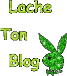 lache ton blog et jirai faire un pti tour!