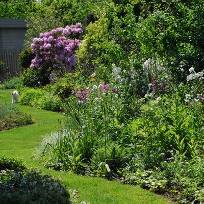 Vues du jardin à la mi-mai