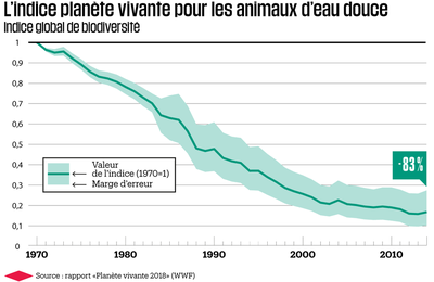 Les animaux d’eau douce disparaissent en silence