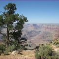 grand canyon desert view 