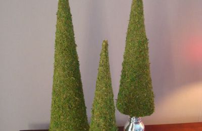 Christmas Tree Cones