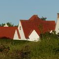 Les balades en FLANDRE - DAMME - 