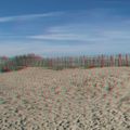 dunes et palissades sur la plage de Maguelone