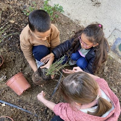 Désimperméabilisation de cour d’école