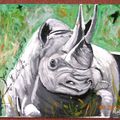 rhino