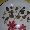  Jolies petites morilles !!! 