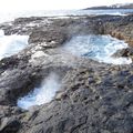 EL BUFADERO, HOYA POZUELO, BORD DE MER DE TELDE (île de Gran Canaria).