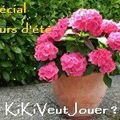 Kiki-fleurs d'été pour DelimOOn