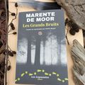 Les Grands Bruits Marente De Moor Traduit du néerlandais par Noëlle Michel Éditions Les Argonautes Éditeur