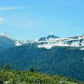 Printemps 2014 aux Pyrénées...