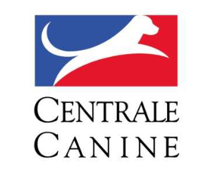 Le CAESC c'est quoi au juste! Article du 10/11/2024.