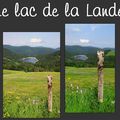 Séjour dans les Vosges, le Vieil Armand ou Hartmannswillerkopf.