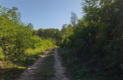 LA CAMPAGNE...