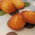 Madeleines