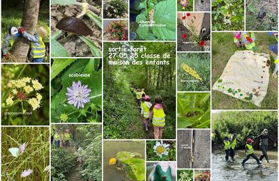 sortie forêt mai 2025 en classe de Maison des Enfants