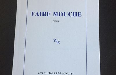 « Faire mouche » de Vincent Almendros