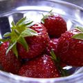 Le temps des fraises :: El tiempo de las fresas