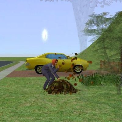 Semaine 6b - Les raisons du coeur ou ... ? 